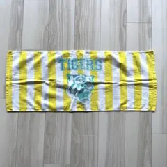 Item thumbnail for item 03e8bc5a-238a-494f-817a-c8d1d4850e22