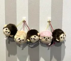 【新品】モンチッチ　フェイスマスコット　５個セット　最短当日投函可能