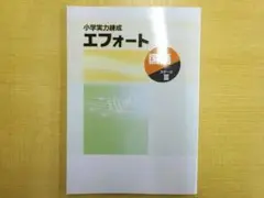 【新品】学習塾用テキスト　小学実力練成エフォート　国語　ステージⅢ　問題集　本