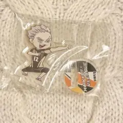 ハイキュー　木兎光太郎　アクリルminiフィギュア Vリーグ　アクリルスタンド