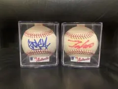 Item thumbnail for item 0287224e-4fcb-4cd7-82ae-870431fcc1fb