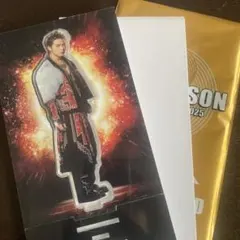 THE REASON EXILE LIVE TOUR 2025