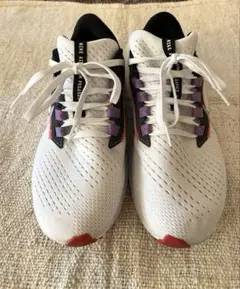 ナイキEKIDEN エア ズーム ペガサス38 24.5cm