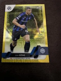 EDIN DŽEKO INTERNAZIONALE MILANO 045/150