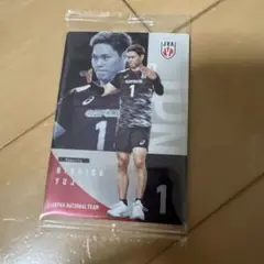 西田有志 NISHIDA YUJI バレーボール日本代表 トレカ