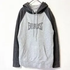 EVERLAST エバーラスト 裏ボア パーカー 刺繍ロゴ M グレー Y2Kのサムネイル