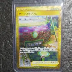 サポート スタジアム SR HR UR まとめ売り 31枚 2025年最新】ターフスタジアム urの人気アイテム - メルカリ