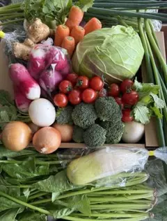 京丹後産野菜詰め合わせ　６０サイズ送料込みのサムネイル
