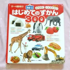 0〜4歳向け　はじめてのずかん 300　英語つき　　おなまえいえるかな？