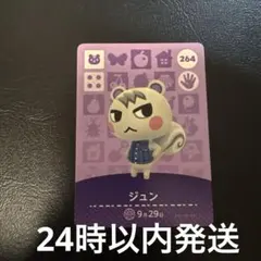 amiibo ジュン　あつまれどうぶつの森　あつ森