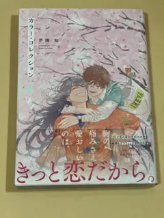 カラー・コレクション　芹澤知