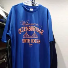 QUEENSBRIDGE Tシャツ XXL　ドライ　illmatic nas