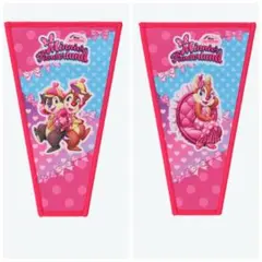 クラリス　チップとデール　セットワッペンアクセサリー