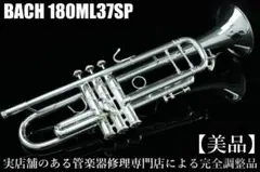 Item thumbnail for item 878e2bcf-a53a-4441-b3f3-3d5be6fa1a21