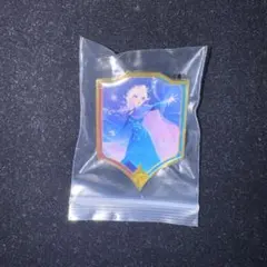 ロルカナ】『ピンバッジ』12点セット - メルカリ