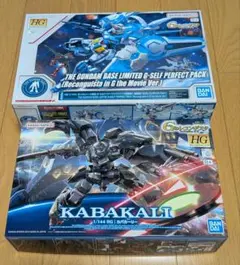 HGBF ケンプファーアメイジング HG アメイジング ザク セット - メルカリ