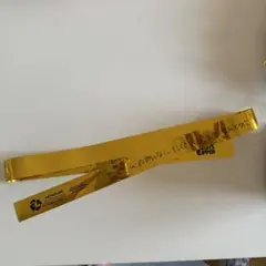 早瀬ノエル FRUITSZIPPER 銀テ Kアリ