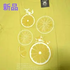 新品☆ダヤン わちふぃーるど Tシャツ L 13号　匿名配送のサムネイル
