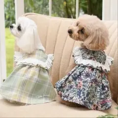 ローラアシュレイ LAURA ASHLEY ショルダーコットンフリルワンピースのサムネイル