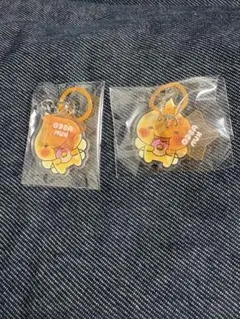 しずくちゃん ちいさなしずくのようせいたち。 アクリルめじるしチャーム アセオ君