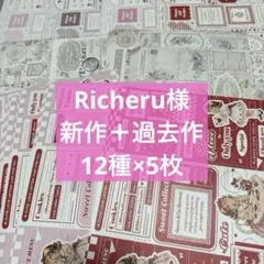2026年最新】richeru デザインペーパーの人気アイテム - メルカリ