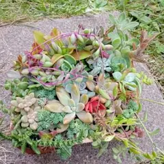 りこ様 リクエスト 3点 まとめ商品