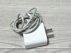 Apple 20W USB-C電源アダプタとLightningケーブル*