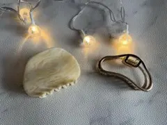 Item thumbnail for item 1daf043d-090e-405e-b08c-05e785100768