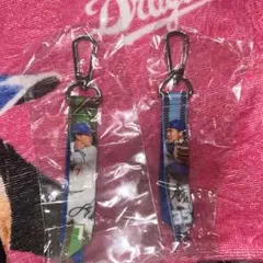 中日ドラゴンズ ガチャ 選手フォトミニボンフィン 福永裕基 木下拓哉