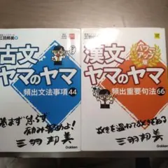 古文・漢文ヤマのヤマ 44・66セット