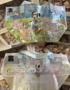 レア❣️香港ディズニー　ミッキーとダッフィーフレンズショッピングバッグ　Sサイズ
