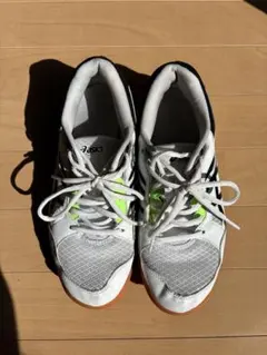 Item thumbnail for item e24cd203-ef76-4a8b-a4ab-13518c323c3a