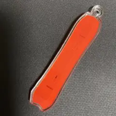 サロモン　ダンスホール　アクキー