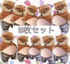 おなかぷにぷにシール 10枚セット お腹 柴犬 スクイーズ シリコン まとめ売り