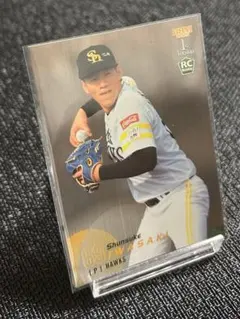 Item thumbnail for item e7d9015d-5a6e-48fa-812a-4b4e03d406e5