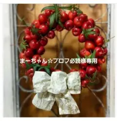 まーちゃん☆プロフ必読様専用