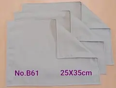 新品ランチョンマット3枚セット《No.B61》