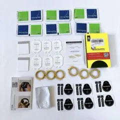 Item thumbnail for item 708972a3-6276-4716-8e47-0989f93e93b5