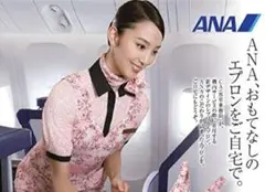 激レア　日本アジア航空　CA エプロン 激レア 日本アジア航空 CA エプロン