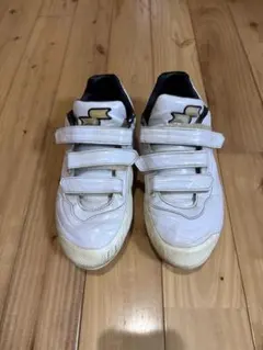 Item thumbnail for item 5c471aff-94eb-44ee-b50b-df2490980620