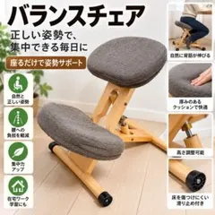 美品☆ニトリ バランスチェア 姿勢矯正 メッシュクッション JB01