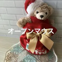 Duffy the Disney Bear クリスマス ぬいぐるみ 巾着のサムネイル