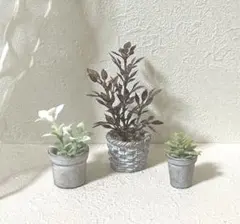 ナオ様 リクエスト 2点 まとめ商品