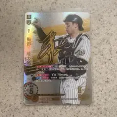 ドリームオーダー SSP 梅野