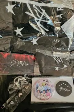 straykids アプグレ特典 5star ドームツアー スキズ グッズ 公式