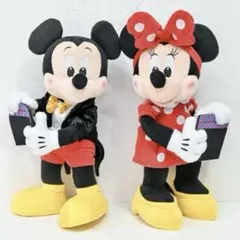超レア❗️ディズニーストア　30周年限定　ミッキーミニー　ぬいぐるみ