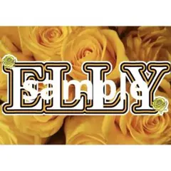 JSB3 三代目 メッセージボード ネームボード ELLY