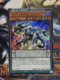 2026年最新】DDカウント・サーベイヤーの人気アイテム - メルカリ