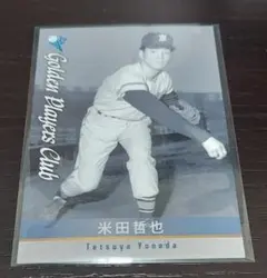 Item thumbnail for item 9499bf5d-cb42-4f29-82e3-38b4be75f48e