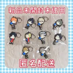 とれトレ ハイキュー 両面ラバーキーホルダー 10種コンプセット 日向 影山